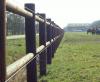 Piquet et clôture pour chevaux