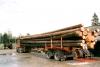 Transport by logging truck