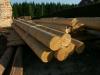 Large-diameter milled calibrated timber